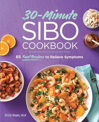 30-Minute Sibo Cookbook av Kristy Regan