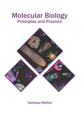 Vanessa Melton - Molecular Biology: Principles and Practice, Inbunden