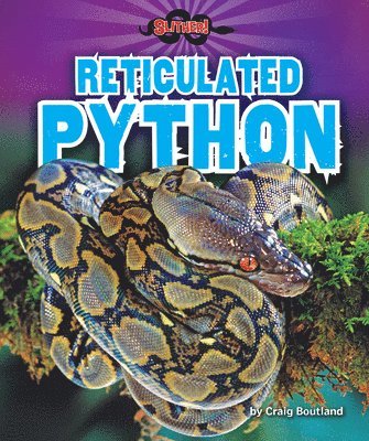 Craig Boutland - Reticulated Python, Inbunden