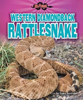 Craig Boutland - Western Diamondback Rattlesnake, Inbunden