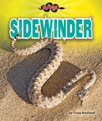 Craig Boutland - Sidewinder, Inbunden