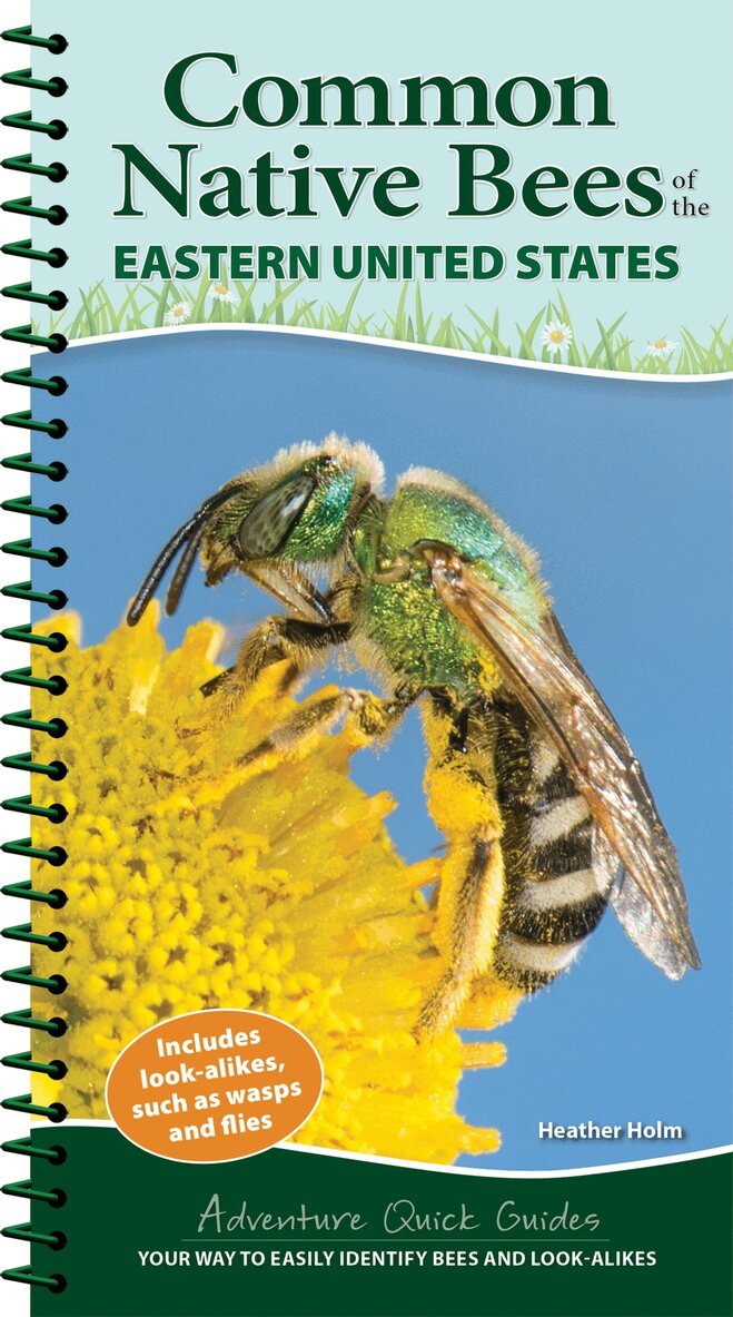 Heather Holm - Common Backyard Bees of the Eastern United States, Häftad