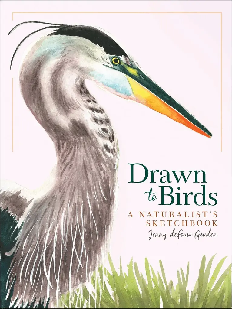 Jenny deFouw Geuder - Drawn to Birds, Inbunden. Tillgänglighet: Lägg i varukorg
