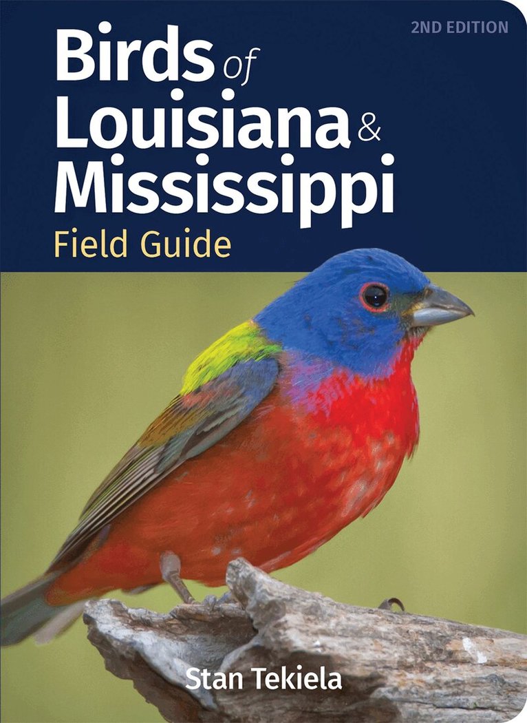 Stan Tekiela - Birds of Louisiana & Mississippi Field Guide, Häftad