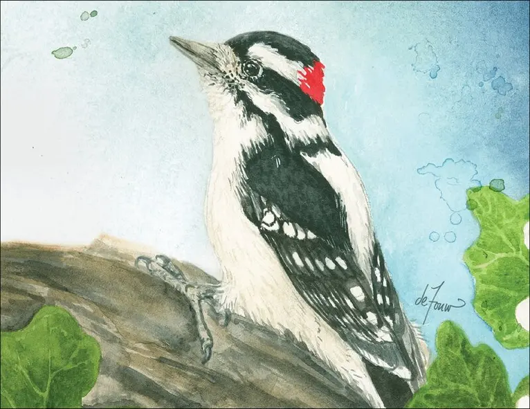 Backyard Birds Boxed Notecard Assortment, Övrigt. Tillgänglighet: Lägg i varukorg