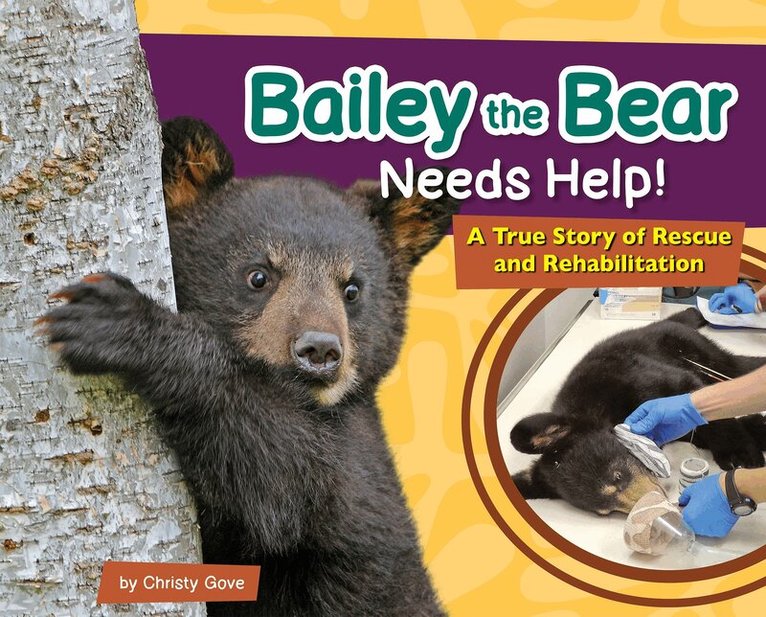 Christy Gove - Bailey the Bear Needs Help!, Inbunden. Tillgänglighet: Lägg i varukorg