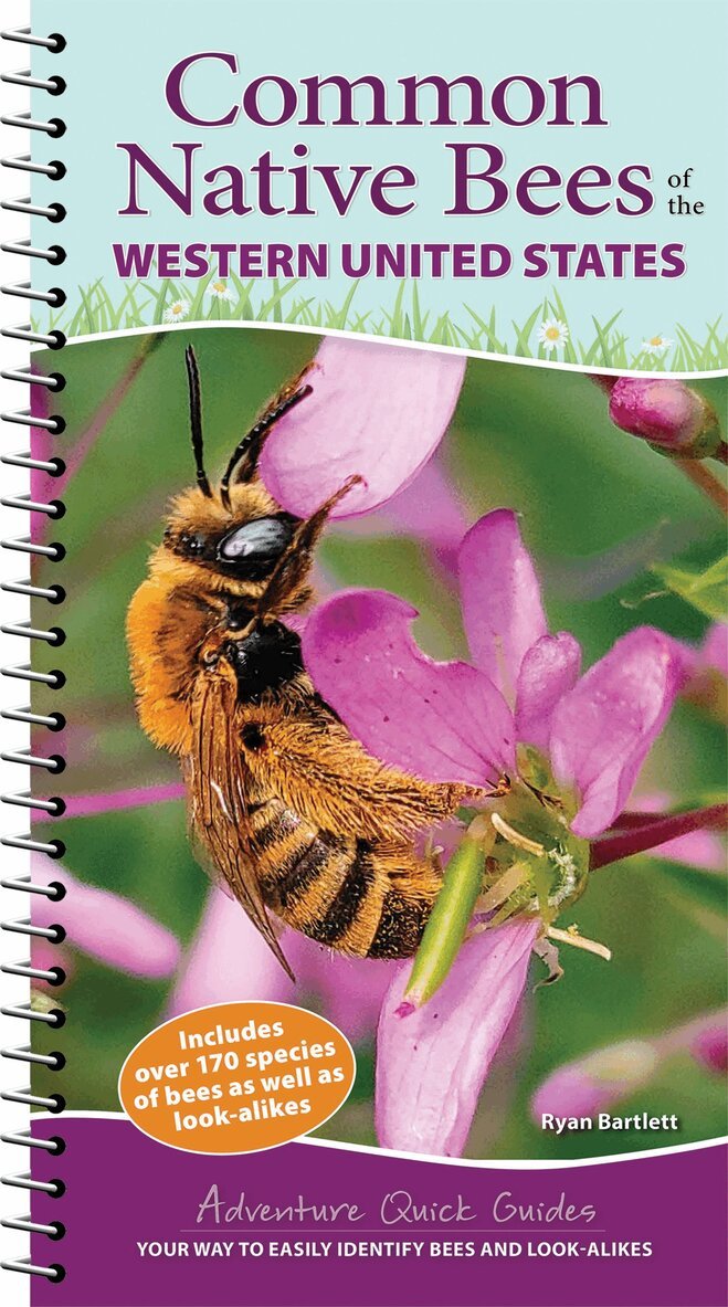 Ryan Bartlett - Common Native Bees of the Western United States, Häftad