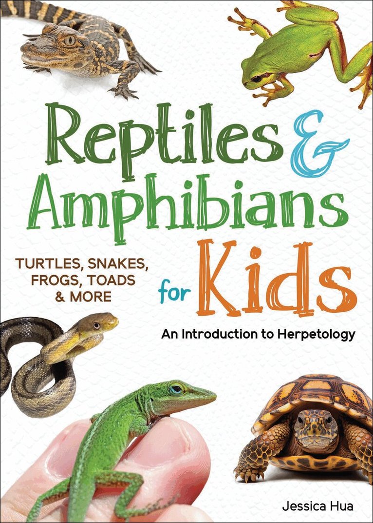 Reptiles & Amphibians for Kids