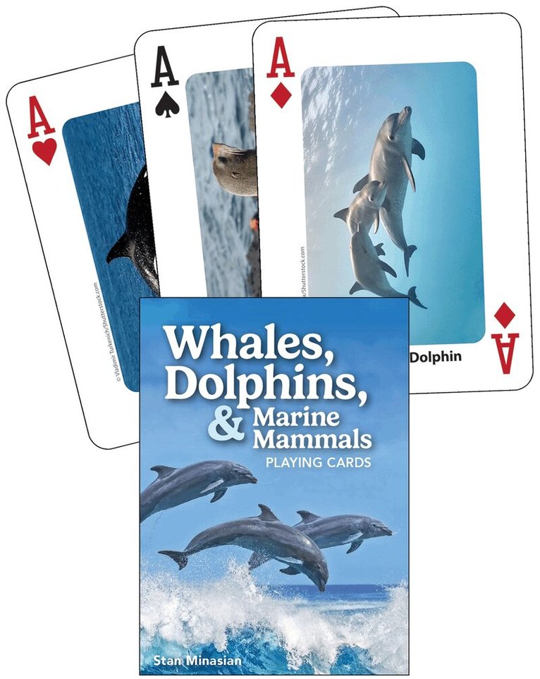 Stan Minasian - Whales, Dolphins, & Marine Mammals Playing Cards, Övrigt. Tillgänglighet: Lägg i varukorg