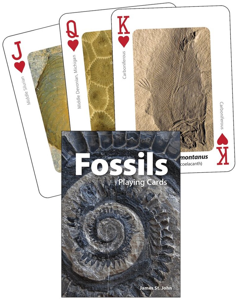 James St. John - Fossils Playing Cards, Övrigt