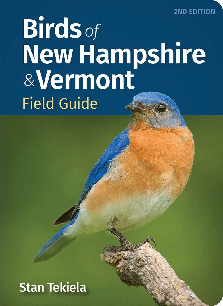 Stan Tekiela - Birds of New Hampshire & Vermont Field Guide, Häftad