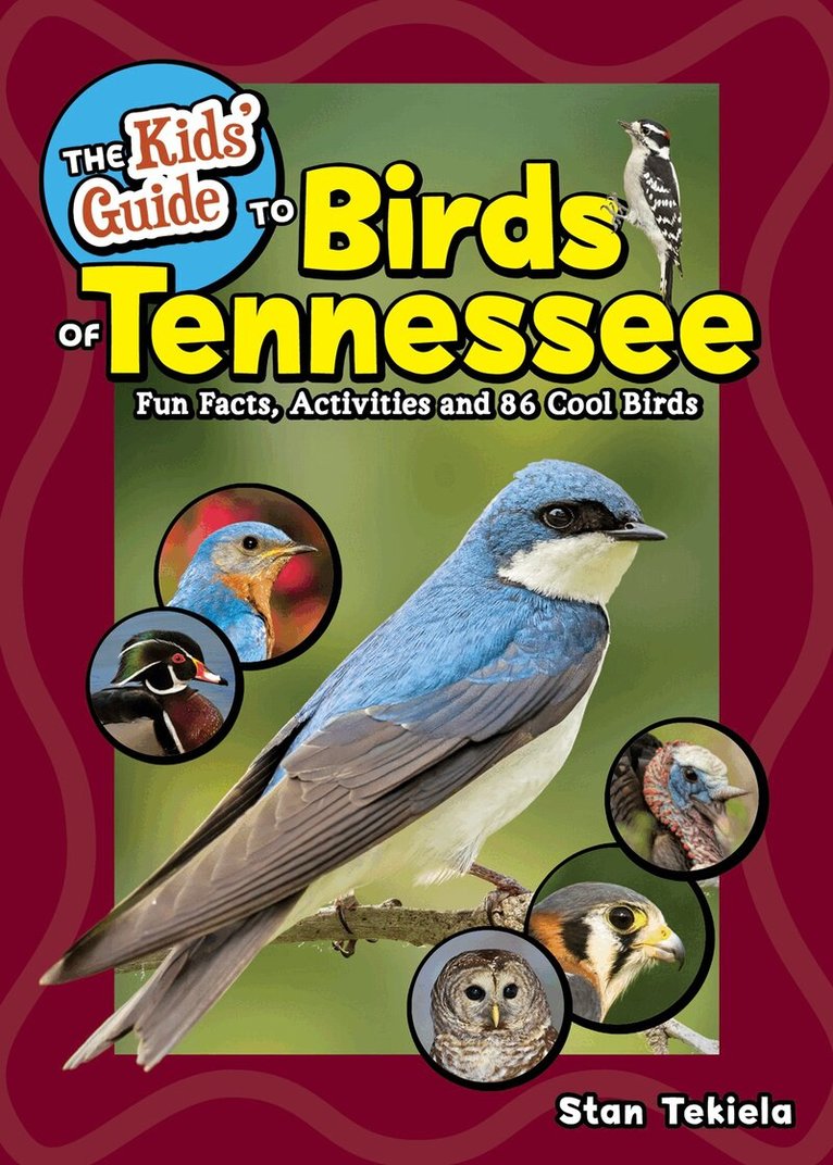 Stan Tekiela - Kids' Guide to Birds of Tennessee, Häftad