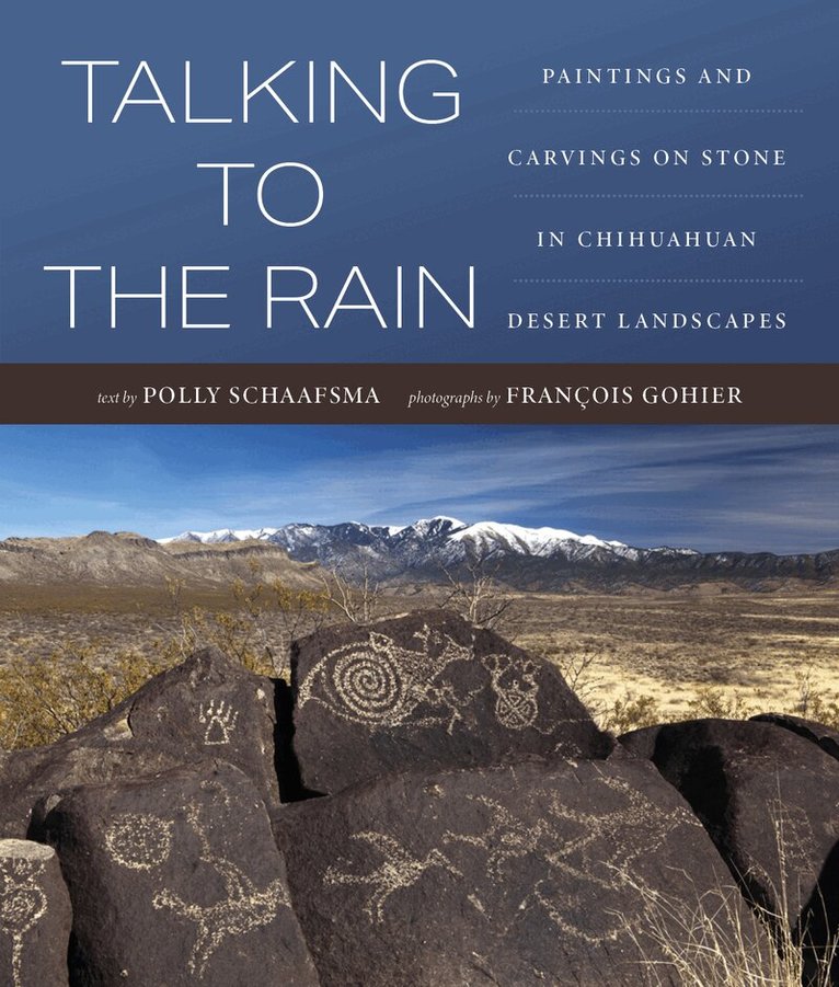Polly Schaafsma - Talking to the Rain, Häftad