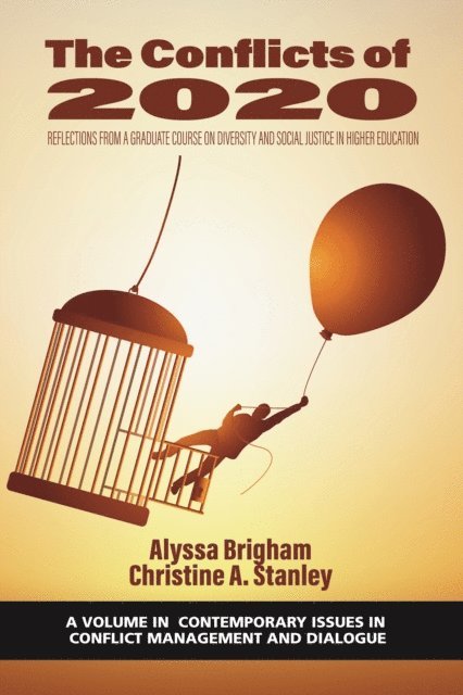 Christine A. Stanley, Alyssa Brigham - Conflicts of 2020, E-bok
