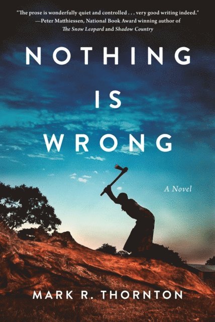 Mark R. Thornton - Nothing Is Wrong, E-bok