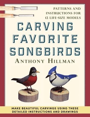 Anthony Hillman - Carving Favorite Songbirds, Häftad. Tillgänglighet: Lägg i varukorg