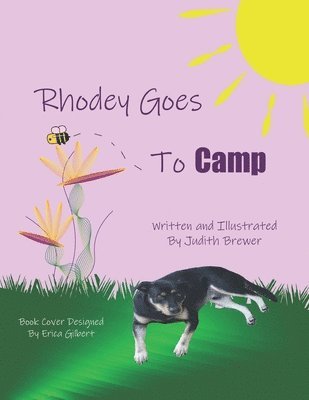 Judith Brewer - Rhodey Goes to Camp, Häftad. Tillgänglighet: Lägg i varukorg