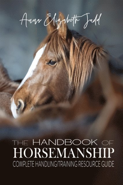 Anna Elizabeth Judd - Handbook of Horsemanship, E-bok