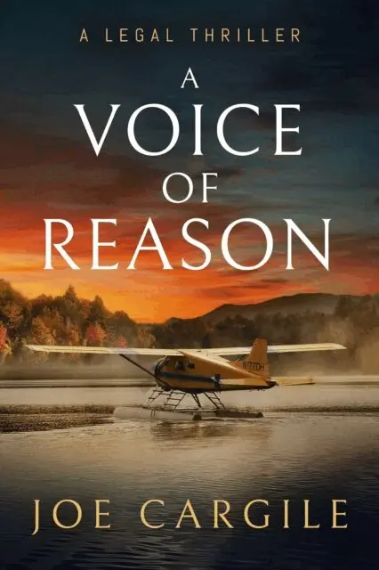 Joe Cargile - A Voice of Reason, Häftad. Tillgänglighet: Lägg i varukorg