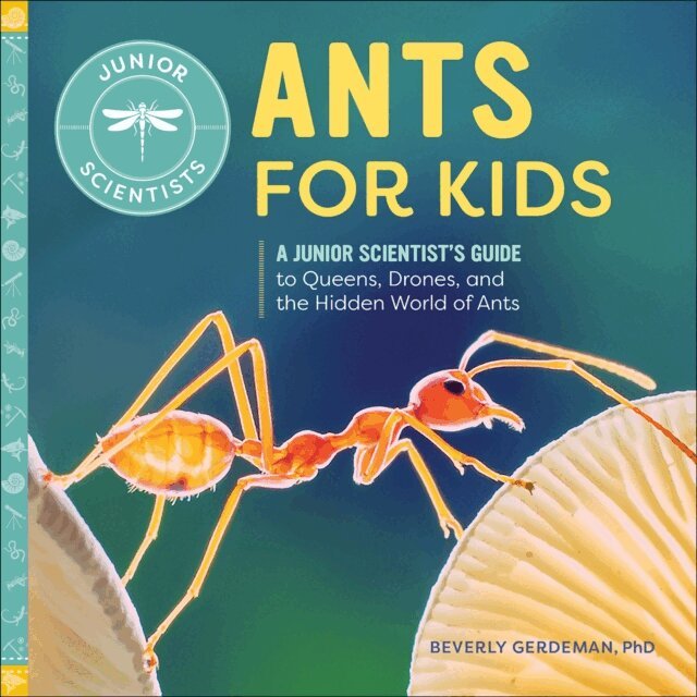 Beverly Gerdeman - Ants for Kids, E-bok