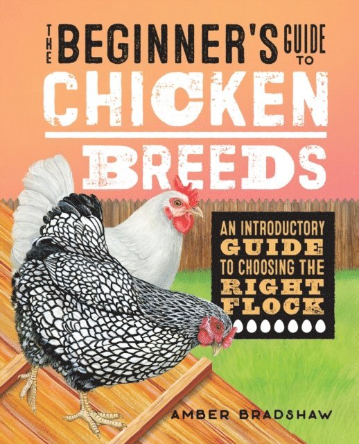 Bradshaw Amber Bradshaw - Beginner's Guide to Chicken Breeds, E-bok. Tillgänglighet: Lägg i varukorg