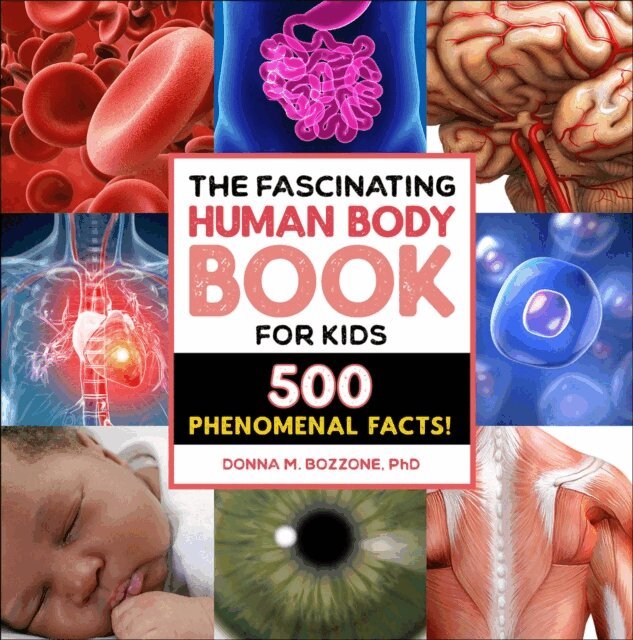 Donna M. Bozzone - Fascinating Human Body Book for Kids, E-bok