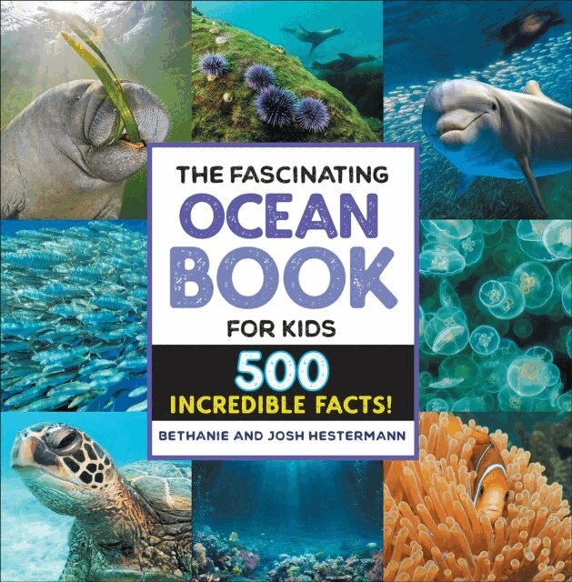 Josh Hestermann, Bethanie Hestermann - Fascinating Ocean Book for Kids, E-bok