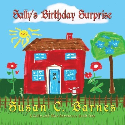 Susan C Barnes - Sally's Birthday Suprise, Häftad