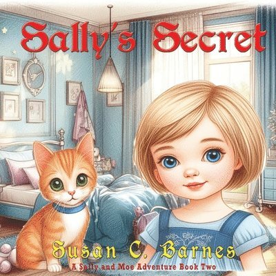 Susan C Barnes - Sally's Secret, Häftad