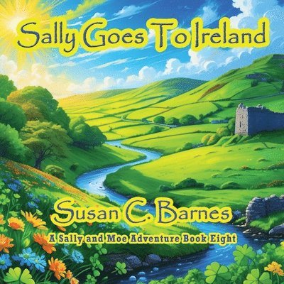 Susan C Barnes - Sally Goes To Ireland, Häftad