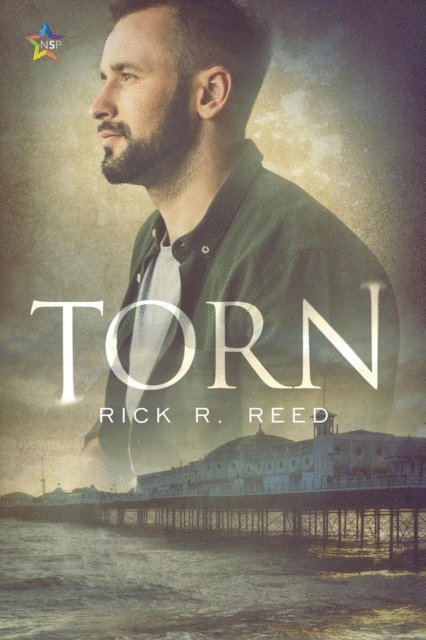 Rick R. Reed - Torn, E-bok