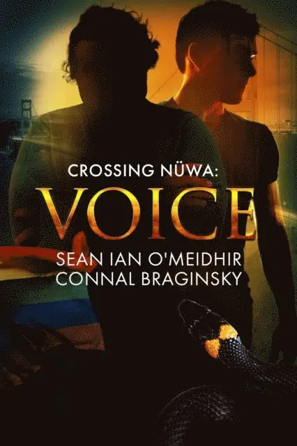 Connal Braginsky, Sean Ian O'Meidhir - Voice, E-bok. Tillgänglighet: Lägg i varukorg