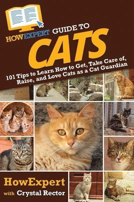 HowExpert Guide to Cats
