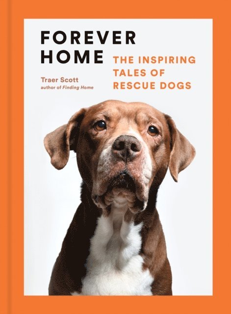 Traer Scott - Forever Home, E-bok