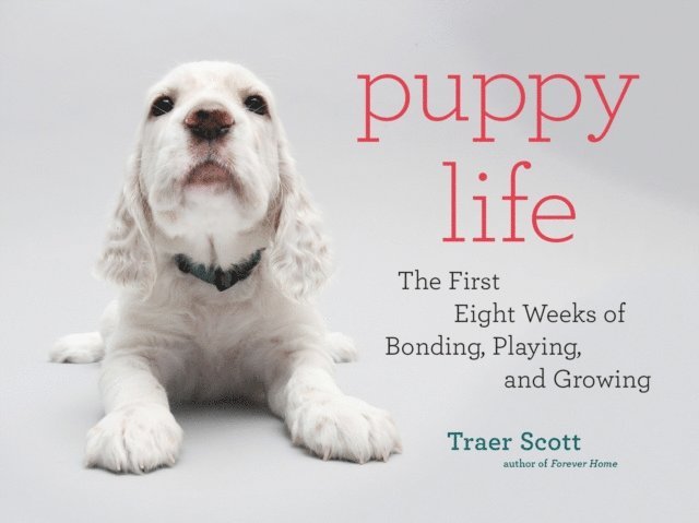 Traer Scott - Puppy Life, E-bok