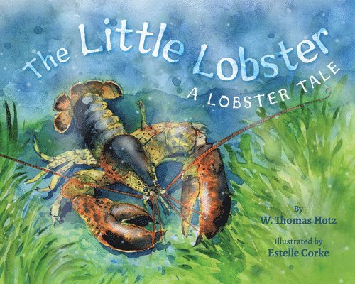 W. Thomas Hotz - The Little Lobster, Inbunden