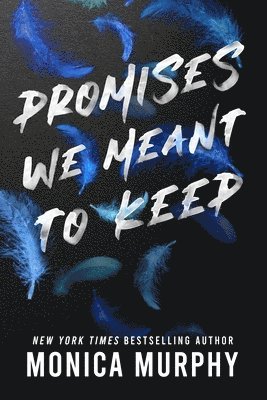 Monica Murphy - Promises We Meant to Keep, Häftad