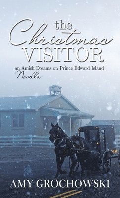 Amy Grochowski - Christmas Visitor, Inbunden