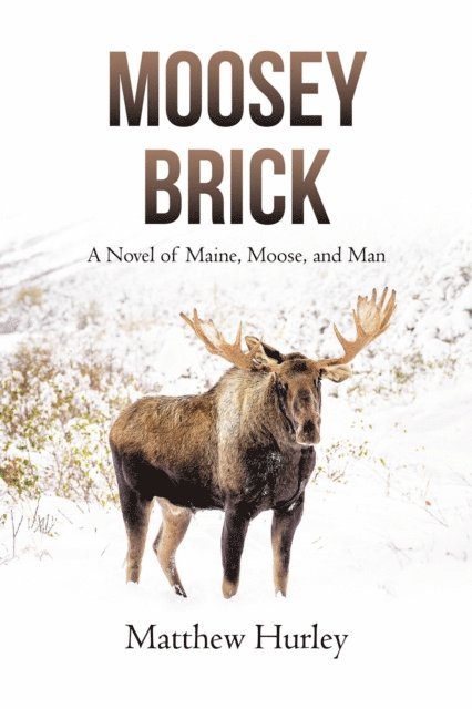 Matthew Hurley - Moosey Brick, E-bok