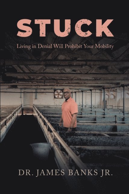Dr. James Banks Jr. - Stuck, E-bok