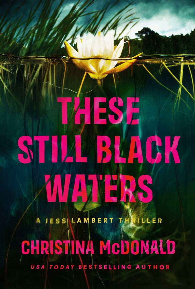 Christina McDonald - These Still Black Waters, Häftad