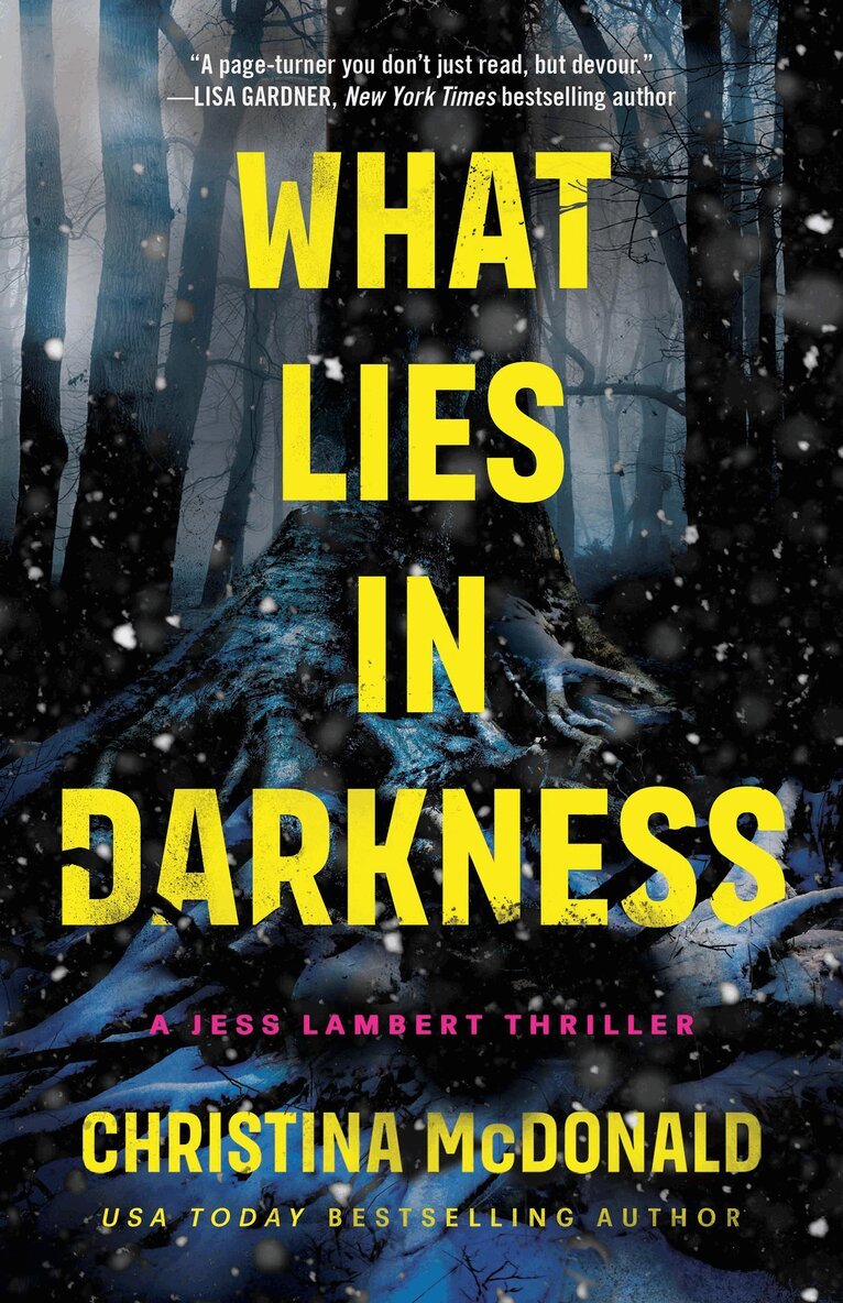 Christina McDonald - What Lies in Darkness, Häftad