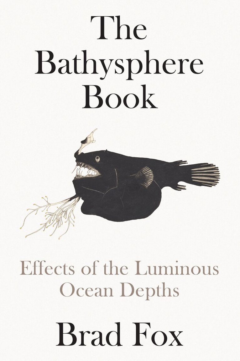 Brad Fox - Bathysphere Book, Inbunden