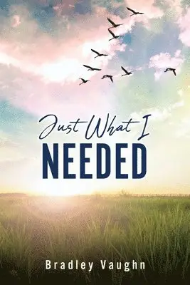 Bradley Vaughn - Just What I Needed, Häftad. Tillgänglighet: Lägg i varukorg