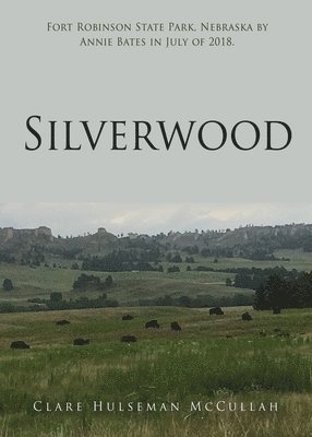 Clare Hulseman McCullah - Silverwood, Häftad. Tillgänglighet: Lägg i varukorg