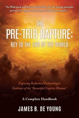 James B de Young - Pre--Trib Rapture, Häftad