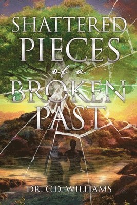 C D Williams - Shattered Pieces of a Broken Past, Häftad