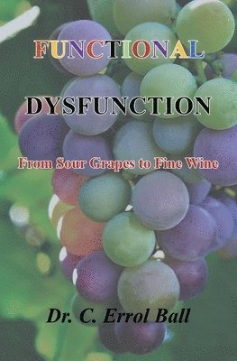 C Errol Ball - Functional Dysfunction, Häftad. Tillgänglighet: Lägg i varukorg