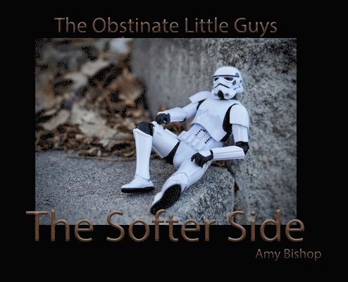 Amy Bishop - Softer Side, Inbunden