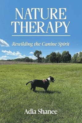 Nature Therapy